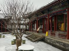 -宫事颐庭·老佛爷贵寿下午茶(颐和园店)