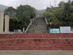 -铁山坪森林公园