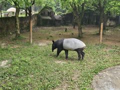 -杭州野生动物世界