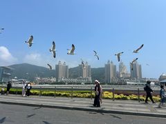 -星海广场