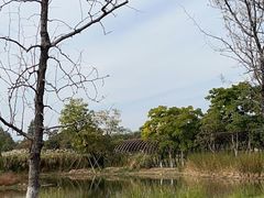 -良渚古城遗址公园
