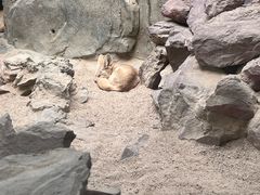 -广州长隆飞鸟乐园