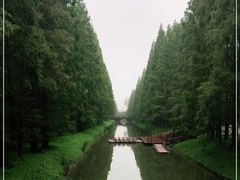 -黄海国家森林公园