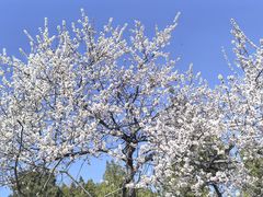 -白水寺森林公园