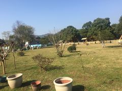 -陶祖圣境风景区