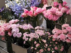 -植物学家的女儿(北马道巷店)