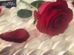 -新丰蛋糕(百花路总店)