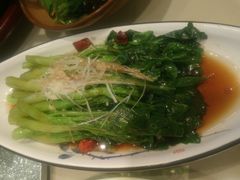 -海派美食·家宴海鲜青岛菜·石锅鲽鱼头(东方城店)