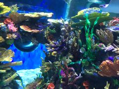 -成都浩海立方海洋公园