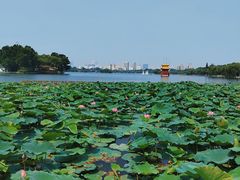 -济南大明湖景区