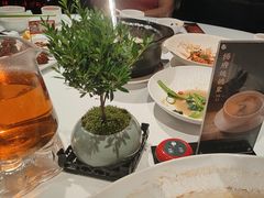 -侨美·唐荔园·40年地道粤菜