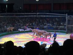 -西安秦岭野生动物园