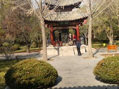 -碑林公园