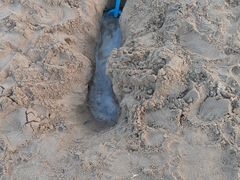 -碧海金沙