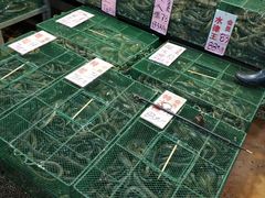 -荔城生鲜盛宴(番禺旗舰店)