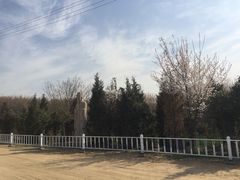 -明秦王墓遗址