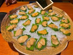 -月龍吟(朝龙汇店)
