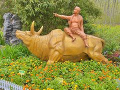 -合肥滨湖国家森林公园