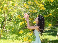 -深圳国际园林花卉博览园