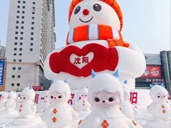 -盛京大奥莱(沈阳奥体店)