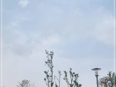 -成飞公园