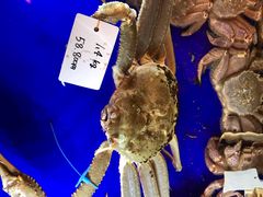 -蟹道乐(道顿堀本店)