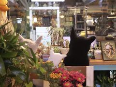 -Kitchen·Y洋厨房西餐厅(王府壹号店)