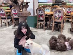 -more than meow吴止猫主题餐厅(承德 中船汇店)