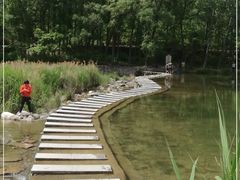 -白河湾生态旅游一条川