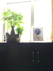 -Face Score美甲美睫皮肤管理