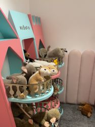 点击看大图 -奈尔宝·儿童乐园·亲子餐厅(前滩店)