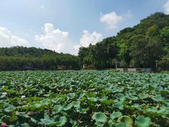 -李小龙乐园(顺德均安店)