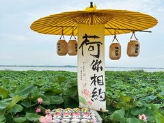 -七的湖·晚芳亭·阳澄湖农家菜·大闸蟹(莲花岛店)