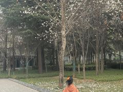 -木塔寺遗址生态公园