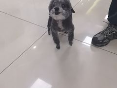 -北京观赏动物医院·24小时大型综合·猫专科·异宠专科