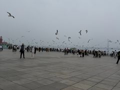 -星海广场