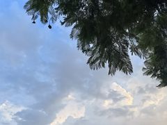 -重庆彩云湖湿地公园