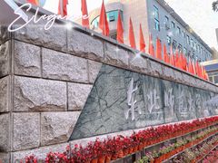 -东北师范大学附属中学(自由校区)