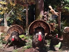 -陕西自然博物馆