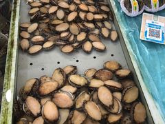 -南沙十九涌渔人码头-南门