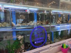 大堂-富临港·蒸汽海鲜·手抓海鲜·炒菜(栈桥店)