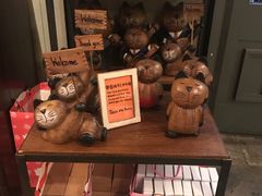 -猫咪博物馆(顶澳仔猫街店)