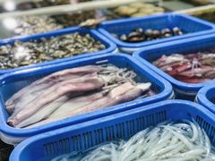 -南沙十九涌渔人码头-南门