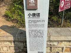 -四门塔风景区