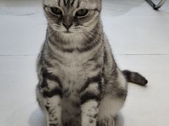 -怪兽屋·羊驼·猫咖·狗咖(俊华广场店)