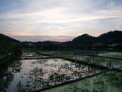 -红山村