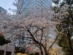 -玛格萝妮比萨屋(四平店)