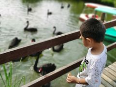 -长兴太湖图影湿地文化园