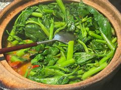 云南傣味空心菜-旺爷砂锅·茶作(国贸城店)