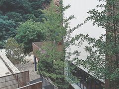 -少华山国家森林公园